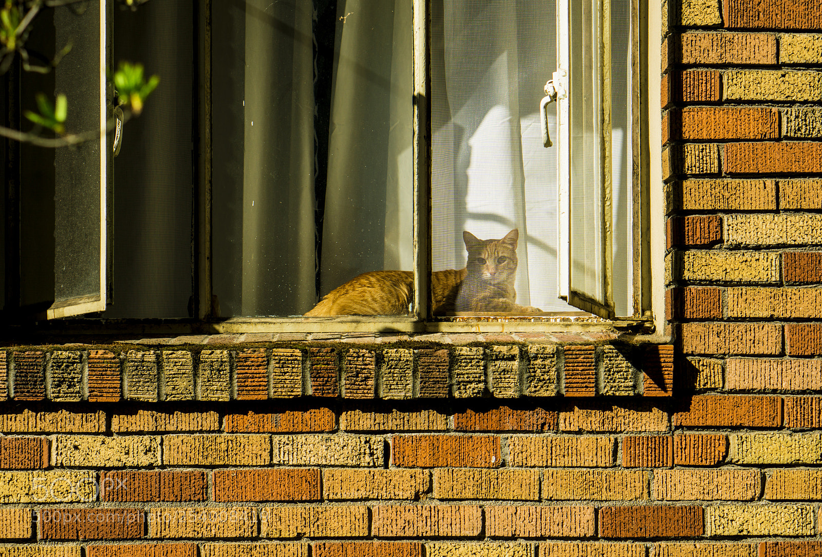 Sony a6000 sample photo. Dsc photography