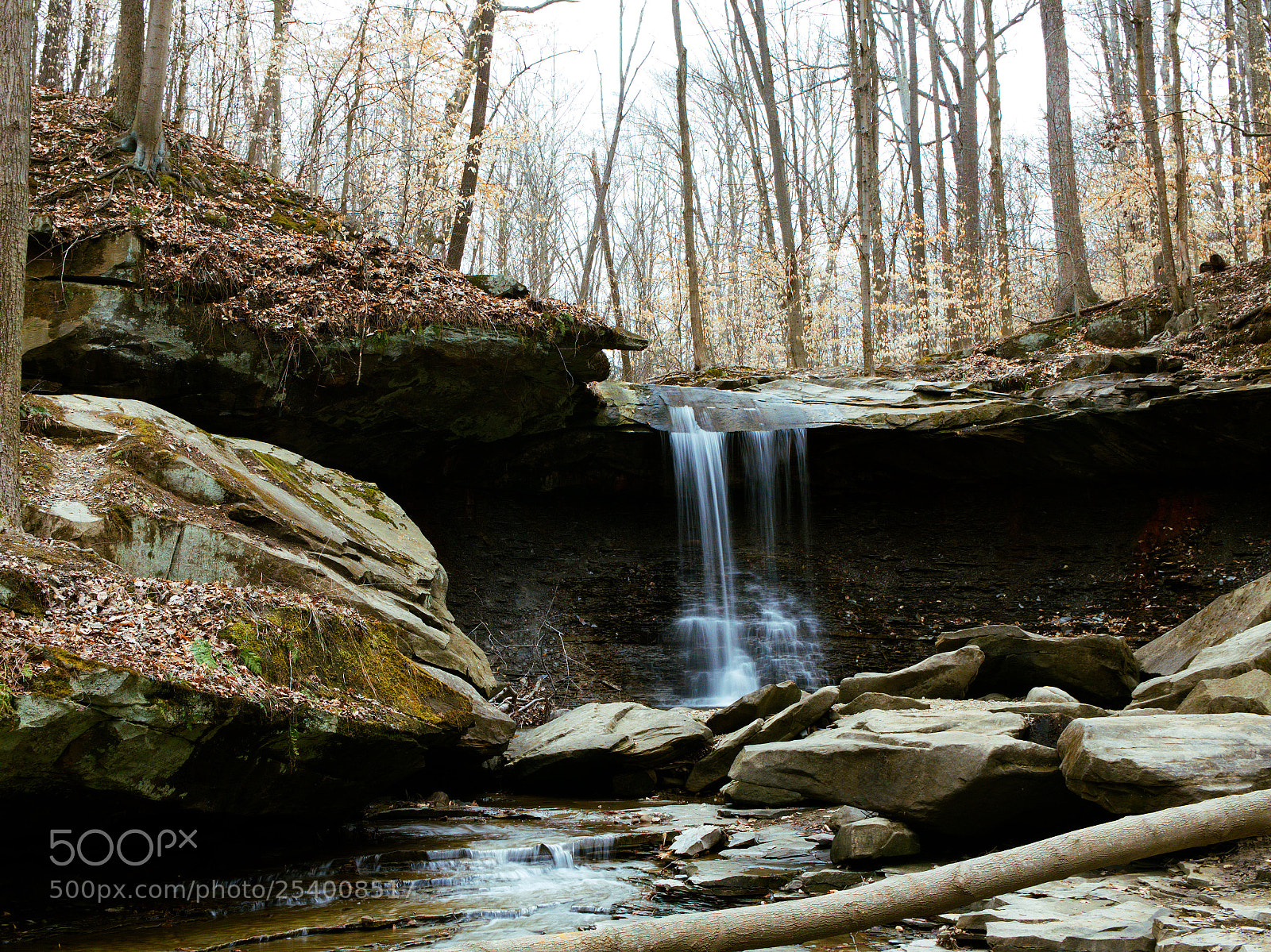 Panasonic Lumix DC-GH5 sample photo. Blue hen falls photography