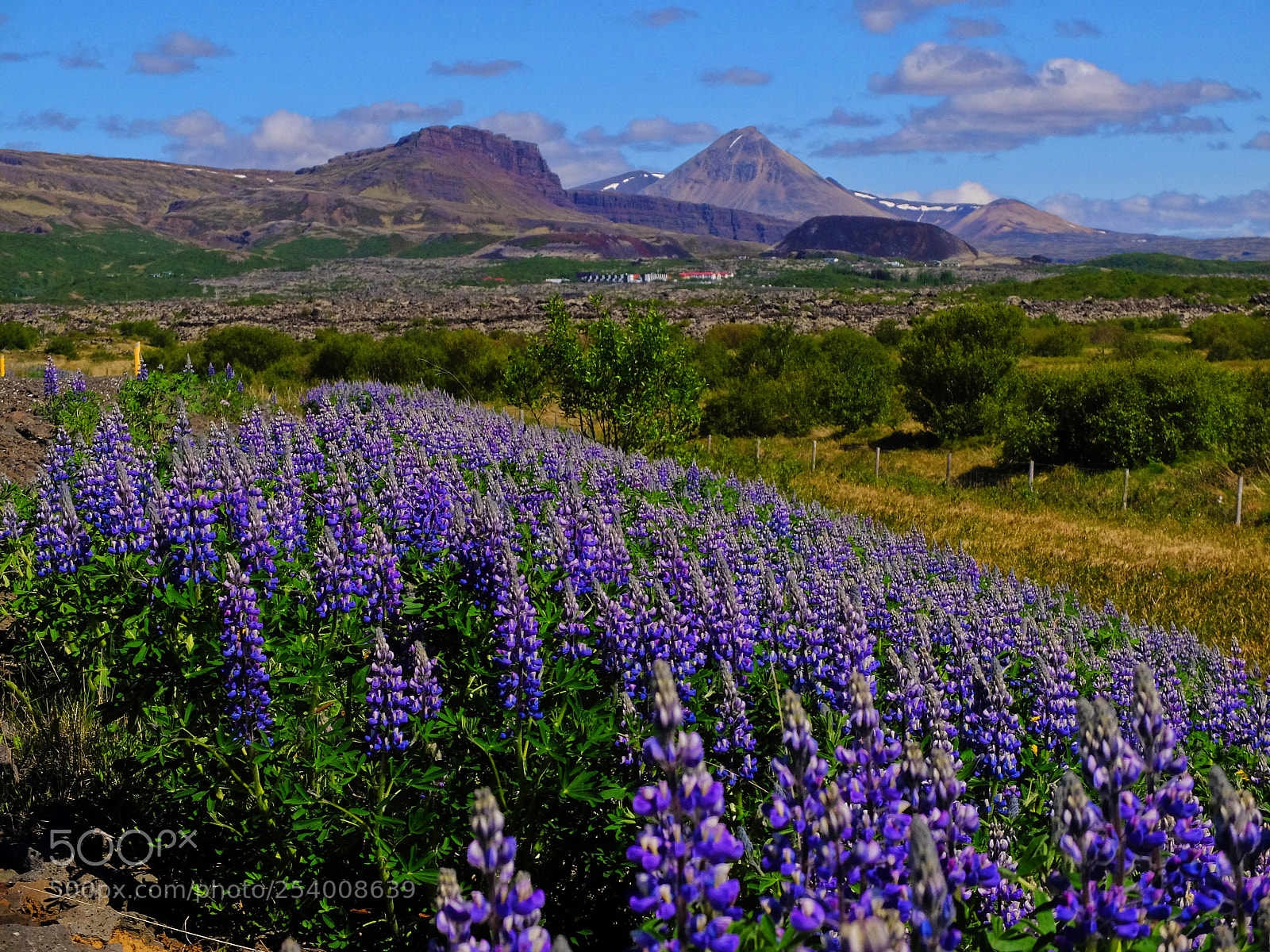 Fujifilm X30 sample photo. Icelandic summer photography