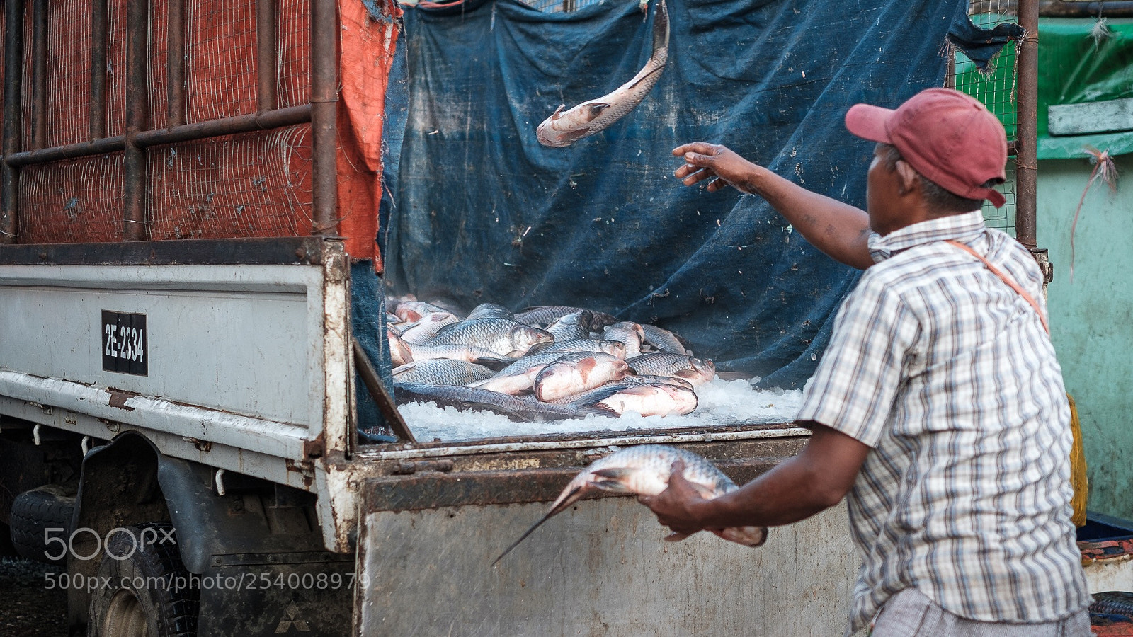 Fujifilm X-T2 sample photo. Flying fish photography