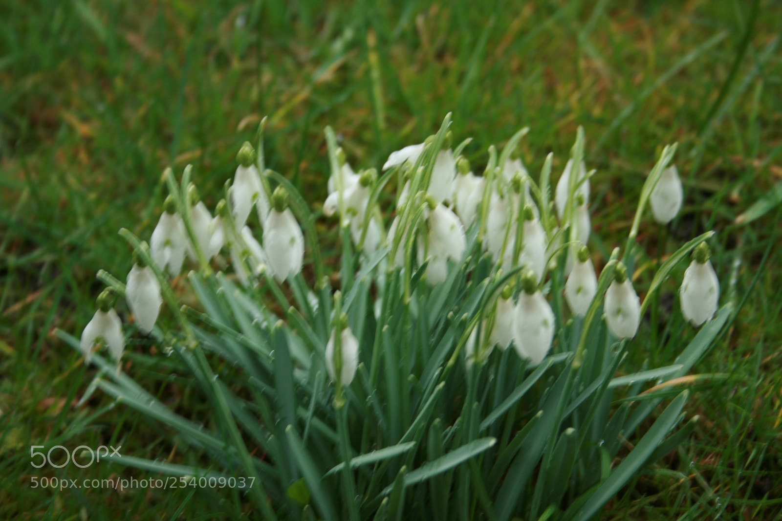 Canon EF-S 18-55mm F3.5-5.6 II sample photo. Img photography