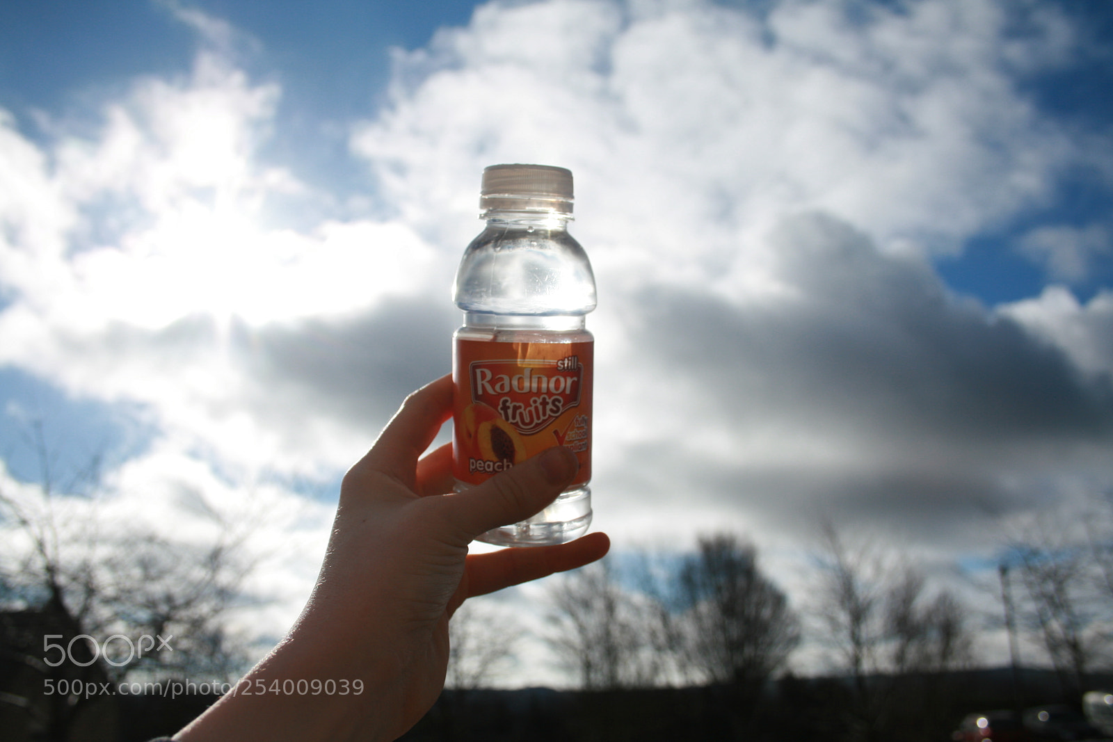 Canon EF-S 18-55mm F3.5-5.6 II sample photo. Img photography