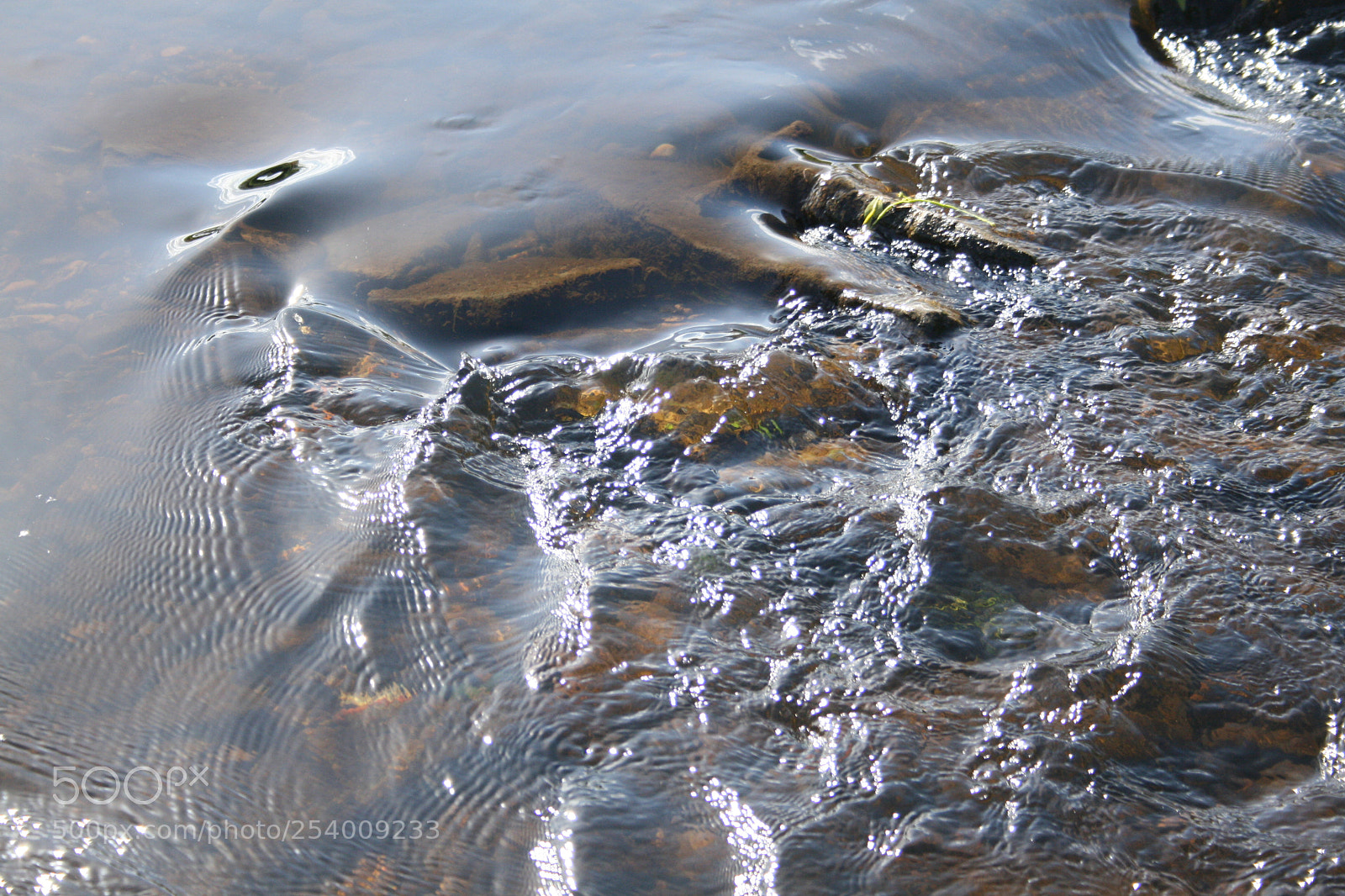 Canon EF-S 18-55mm F3.5-5.6 II sample photo. Img photography