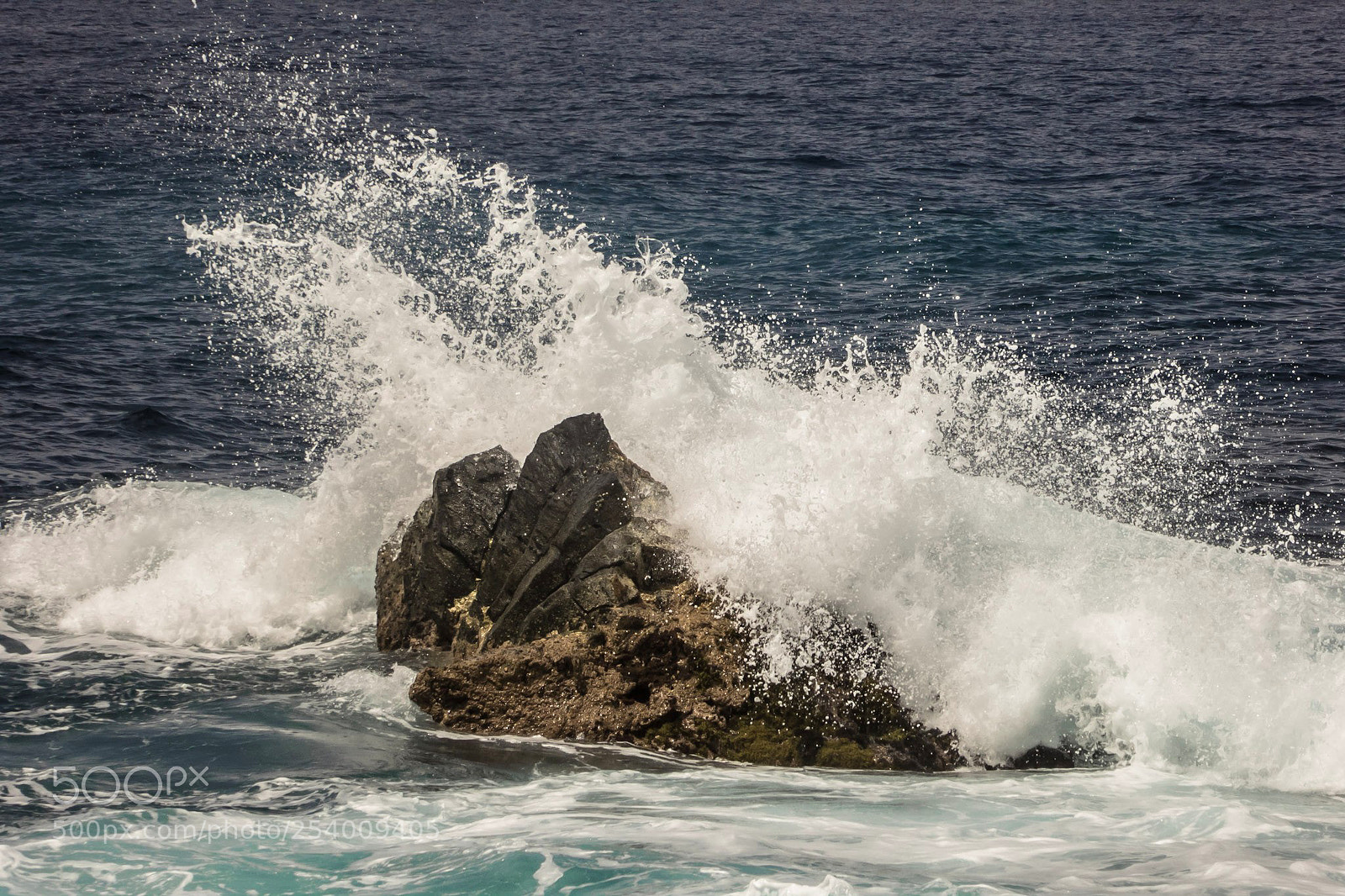 Panasonic DMC-TZ61 sample photo. The big splash photography