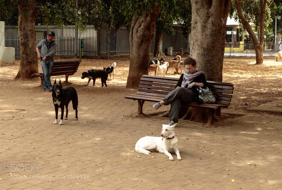Canon EOS 6D Mark II sample photo. Dog’s place photography