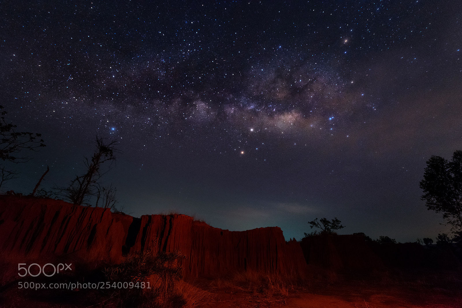 Nikon D810 sample photo. The milky way at photography