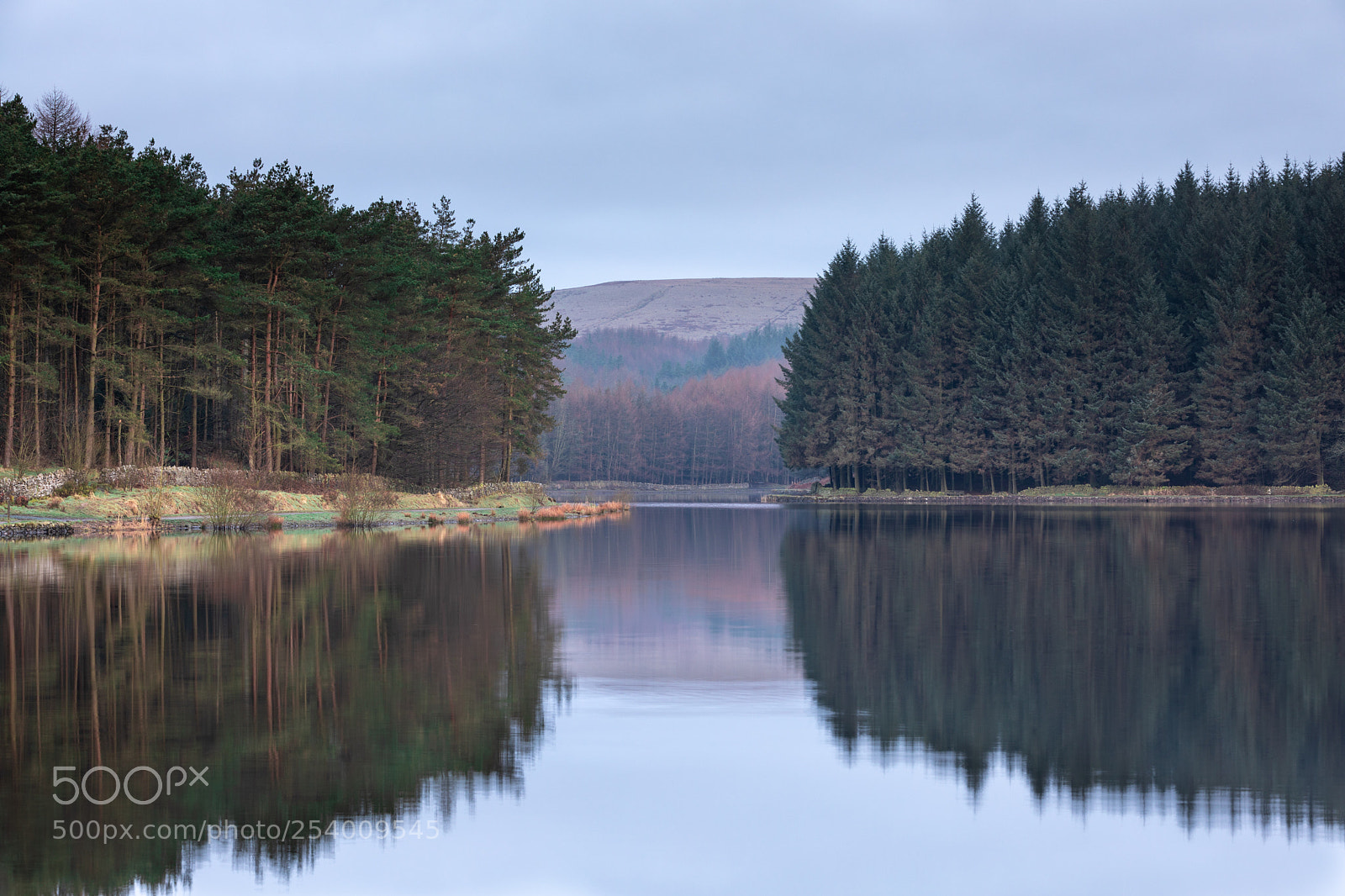 Canon EOS 5D Mark IV sample photo. Entwistle photography