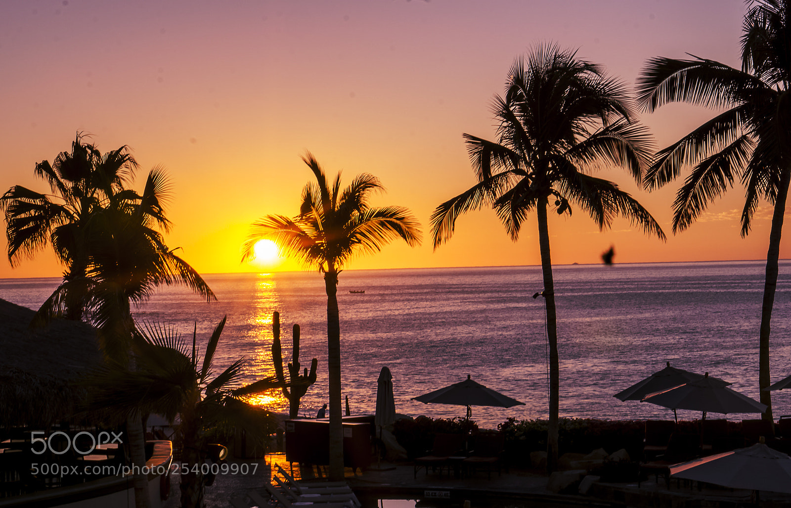 Sony a6000 sample photo. Dsc photography