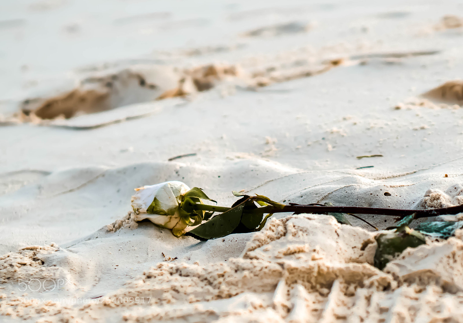 Sony a6000 sample photo. Dsc02624-2.jpg photography
