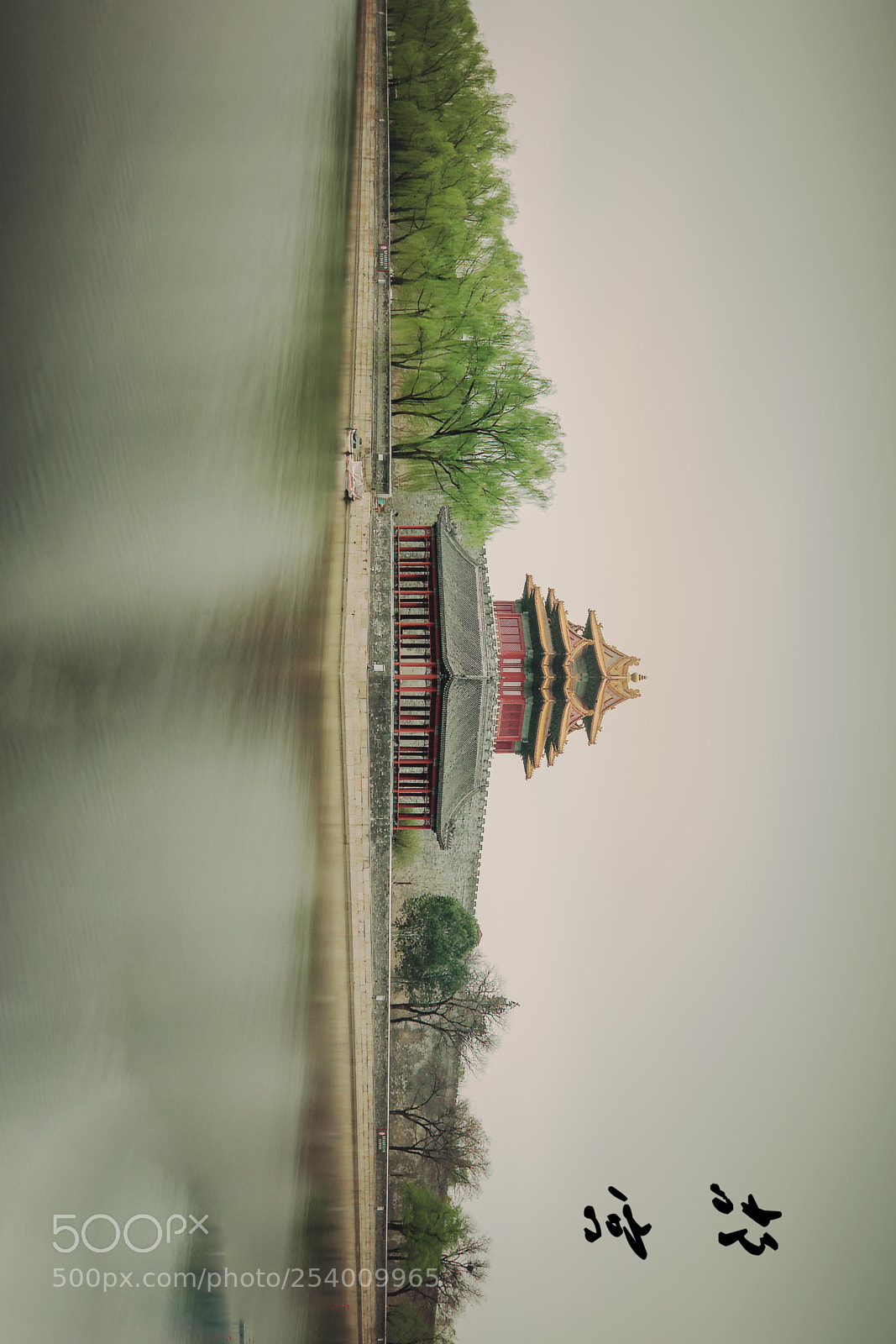 Nikon D7200 sample photo. Untitled photography