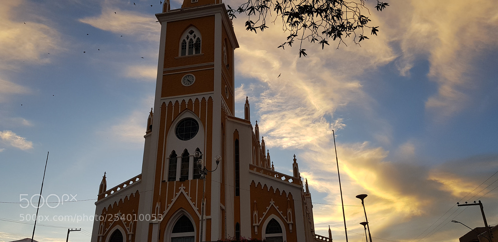 Samsung Galaxy S8+ sample photo. Untitled photography