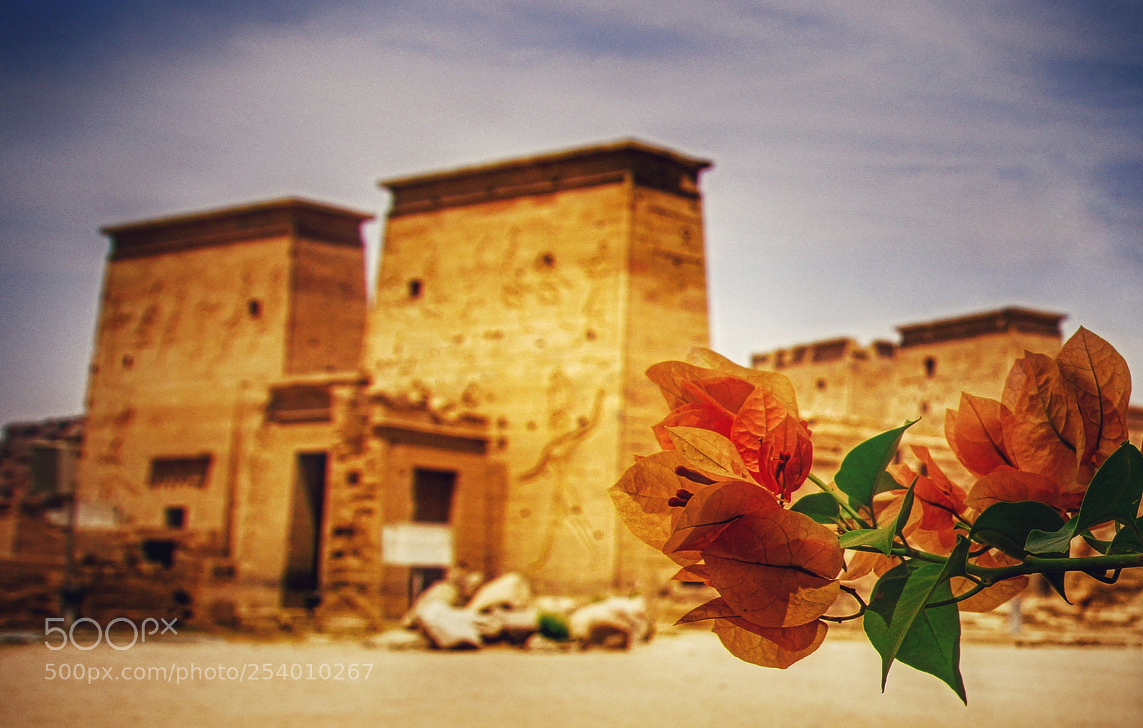 Sony SLT-A77 sample photo. Philae temple photography