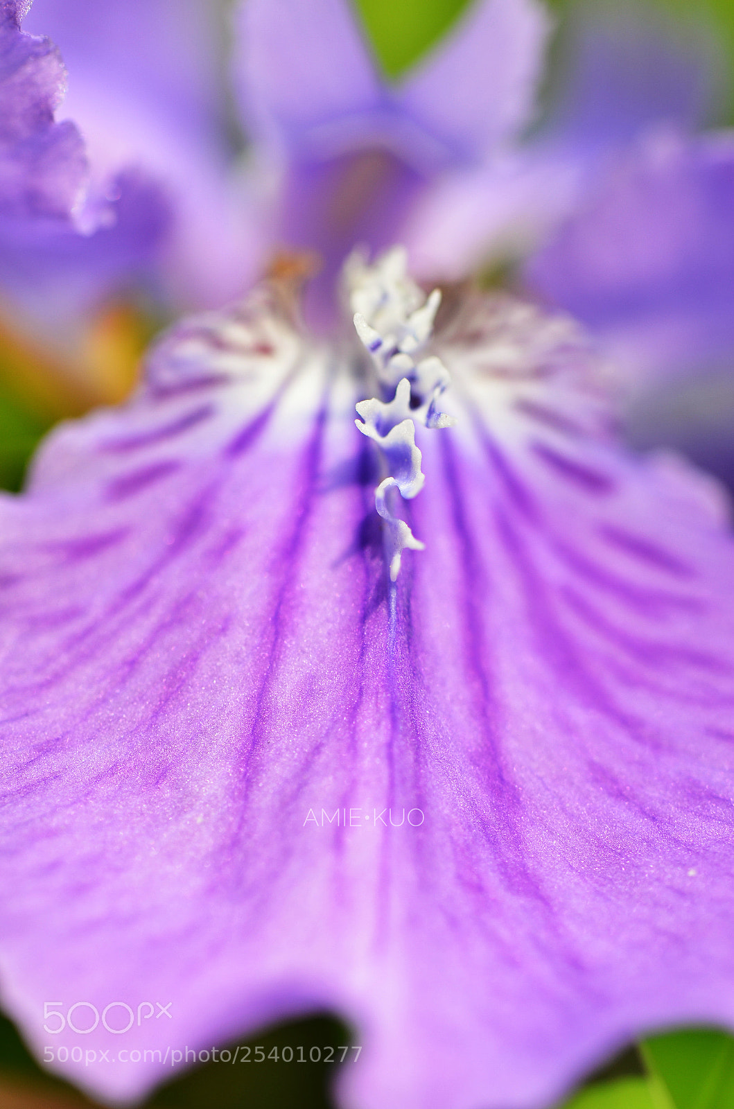 Nikon D7000 sample photo. Untitled photography