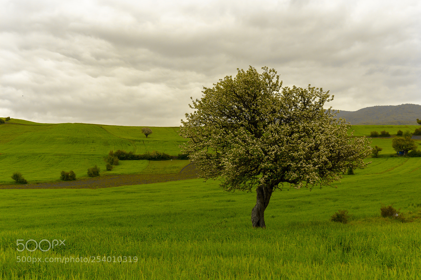 Nikon D5200 sample photo. Cloudy farmland 2 photography