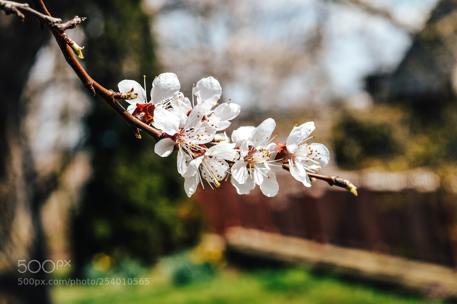 Nikon D3200 sample photo. Jaro photography