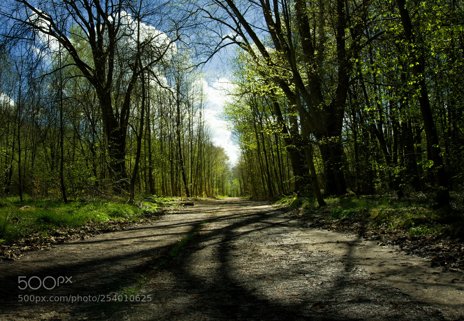 Sony a6000 sample photo. A long way photography