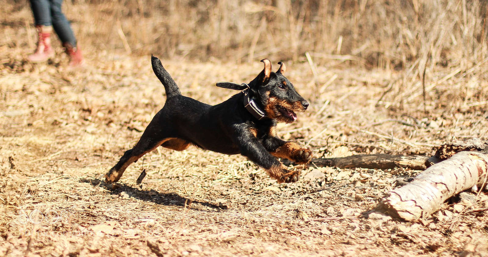 Canon EOS 60D sample photo. Img photography