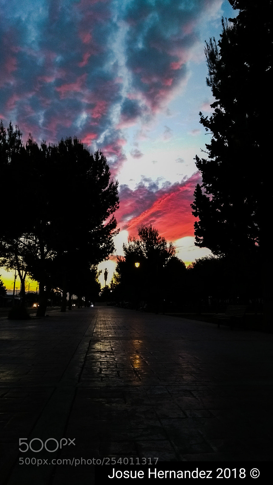Motorola Moto G (5th Gen) sample photo. Untitled photography