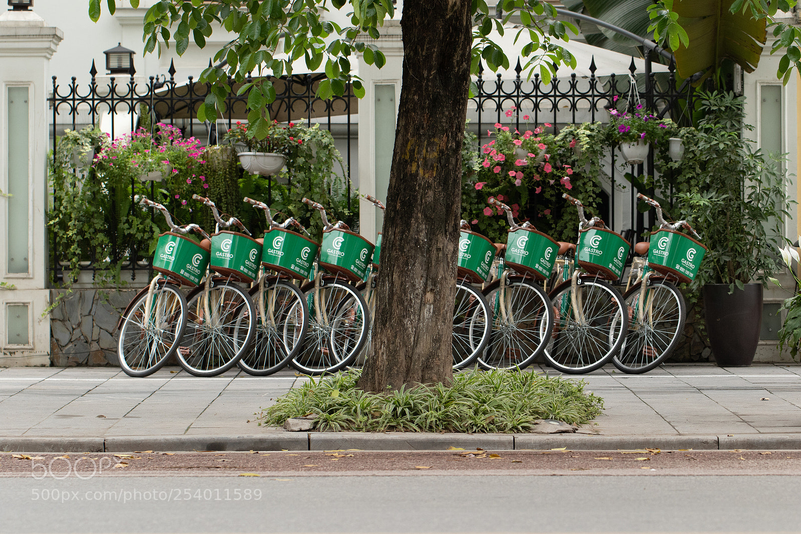 Canon EOS 7D Mark II sample photo. Bicycles photography