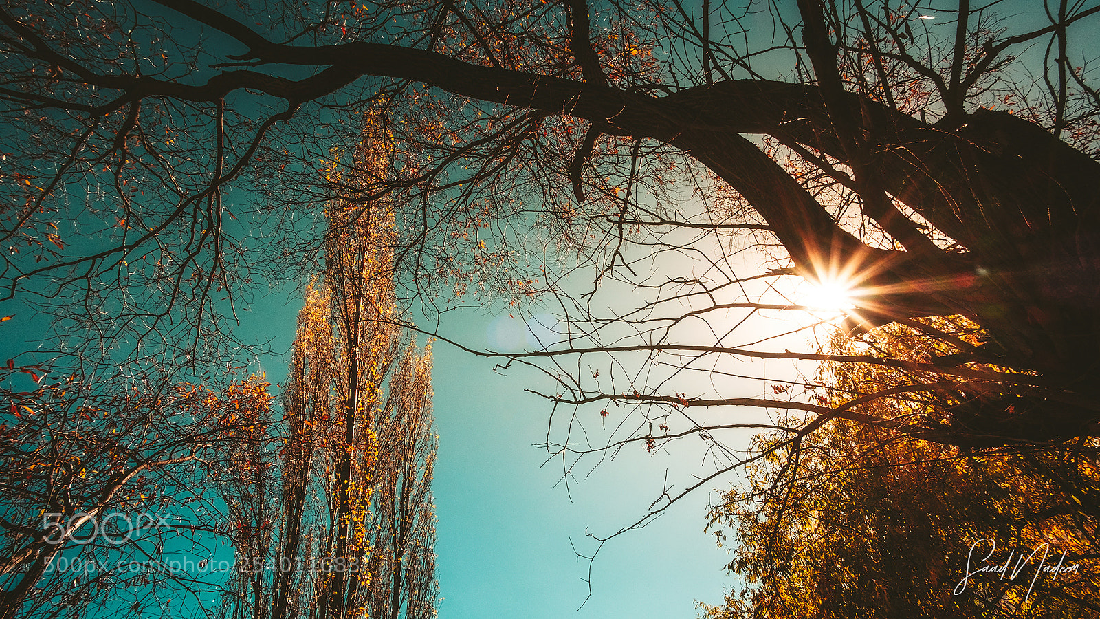 Fujifilm X-T10 sample photo. Autumn in gulmit, gojal photography