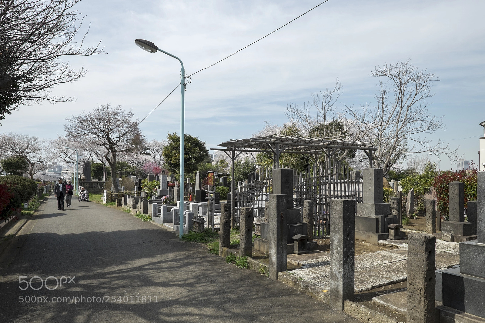 Fujifilm X-T1 sample photo. Tokyo.豊島区駒込　染井霊園 photography