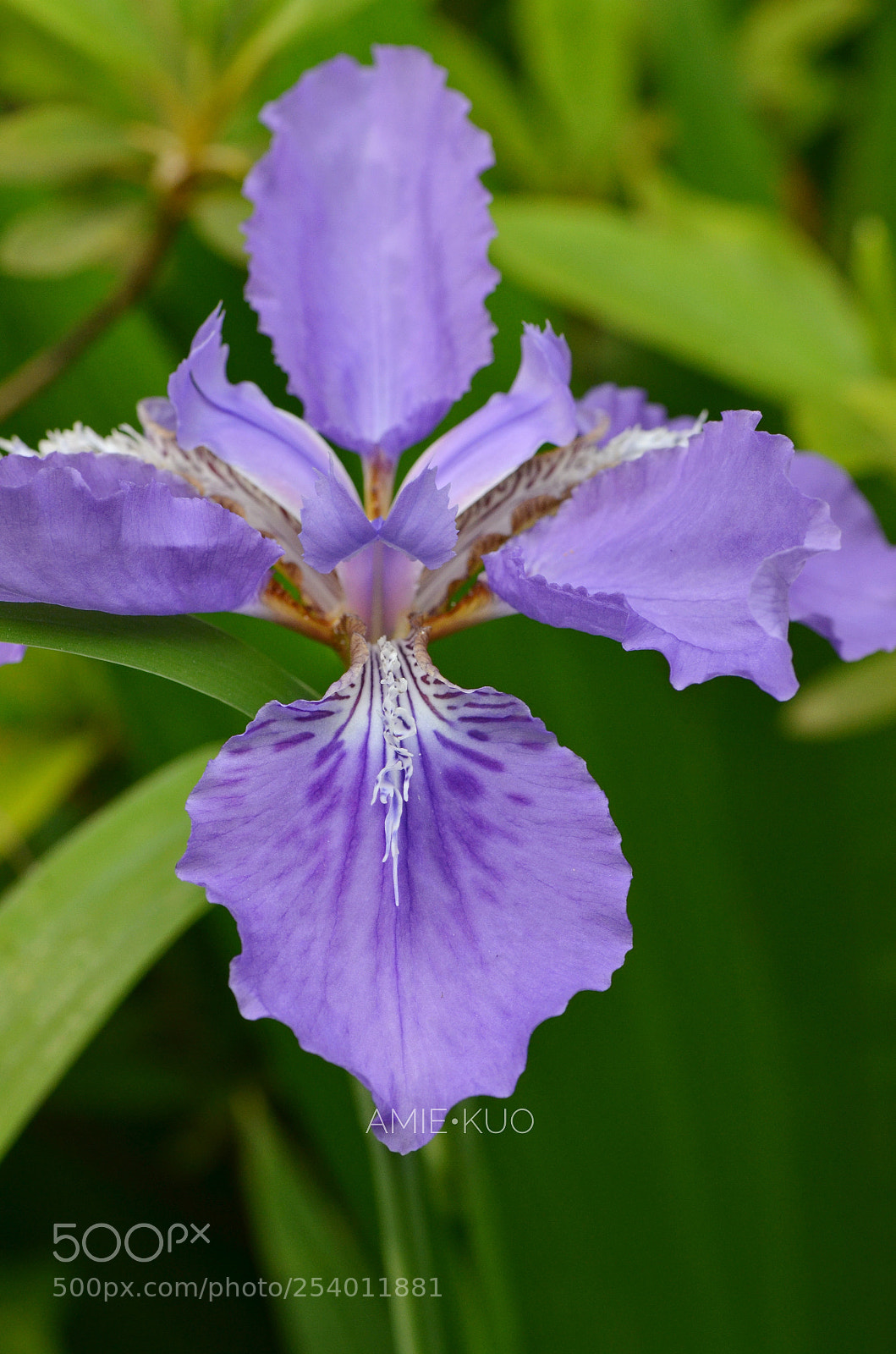 Nikon D7000 sample photo. Untitled photography