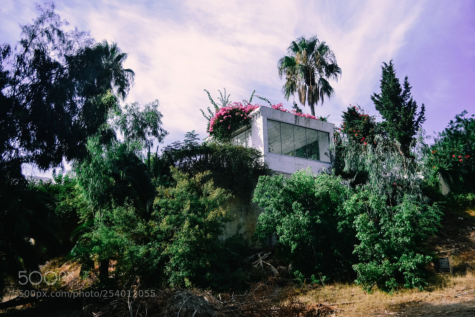 Nikon D3100 sample photo. Dreamhouse photography