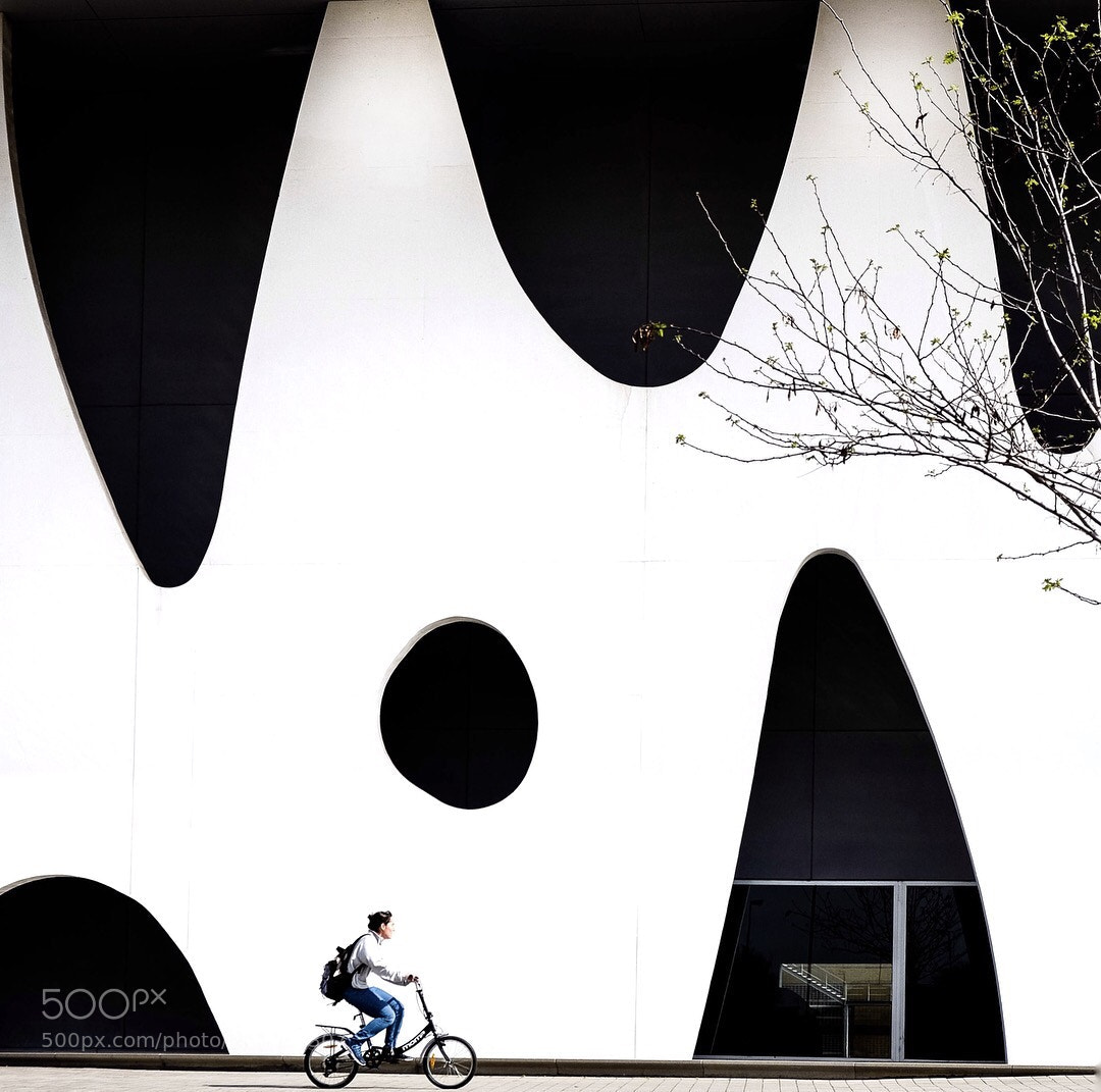 Fujifilm X-T1 sample photo. Untitled photography