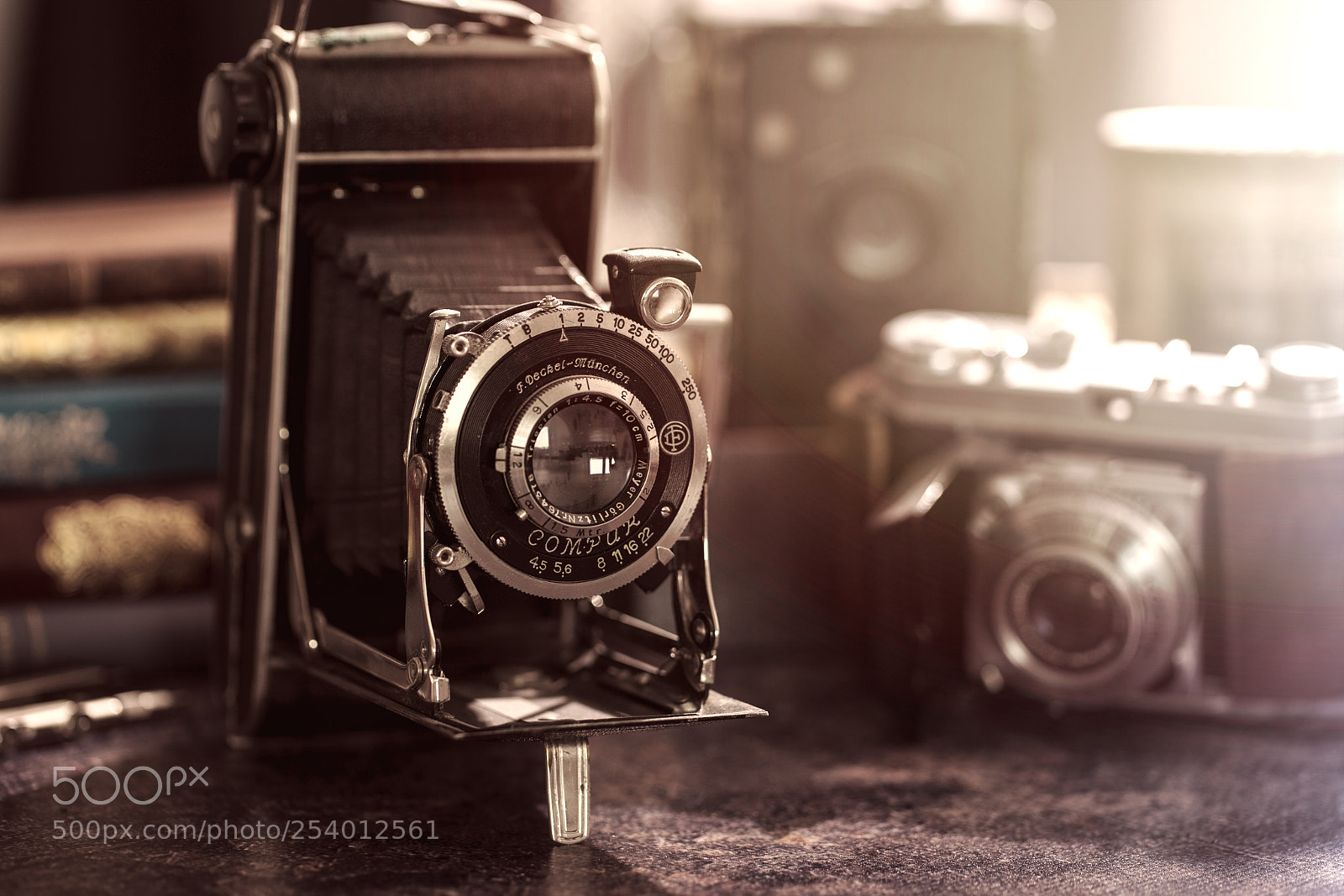 Canon EOS-1D X Mark II sample photo. Timeless photography