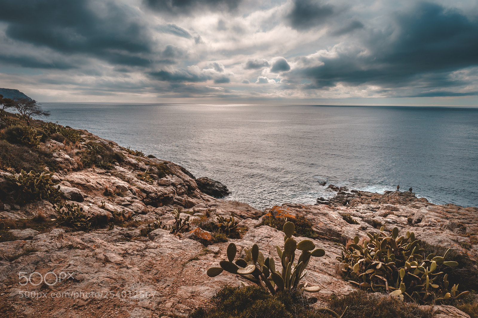 Sony a7 sample photo. Wild coast 055 photography