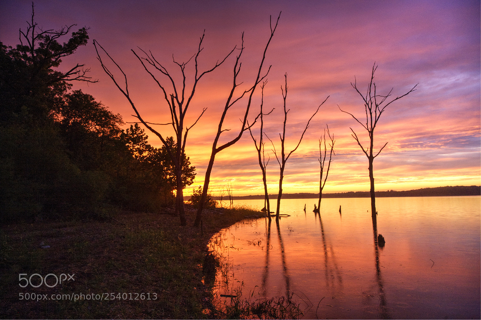 Canon EOS 5D sample photo. Raindrops photography