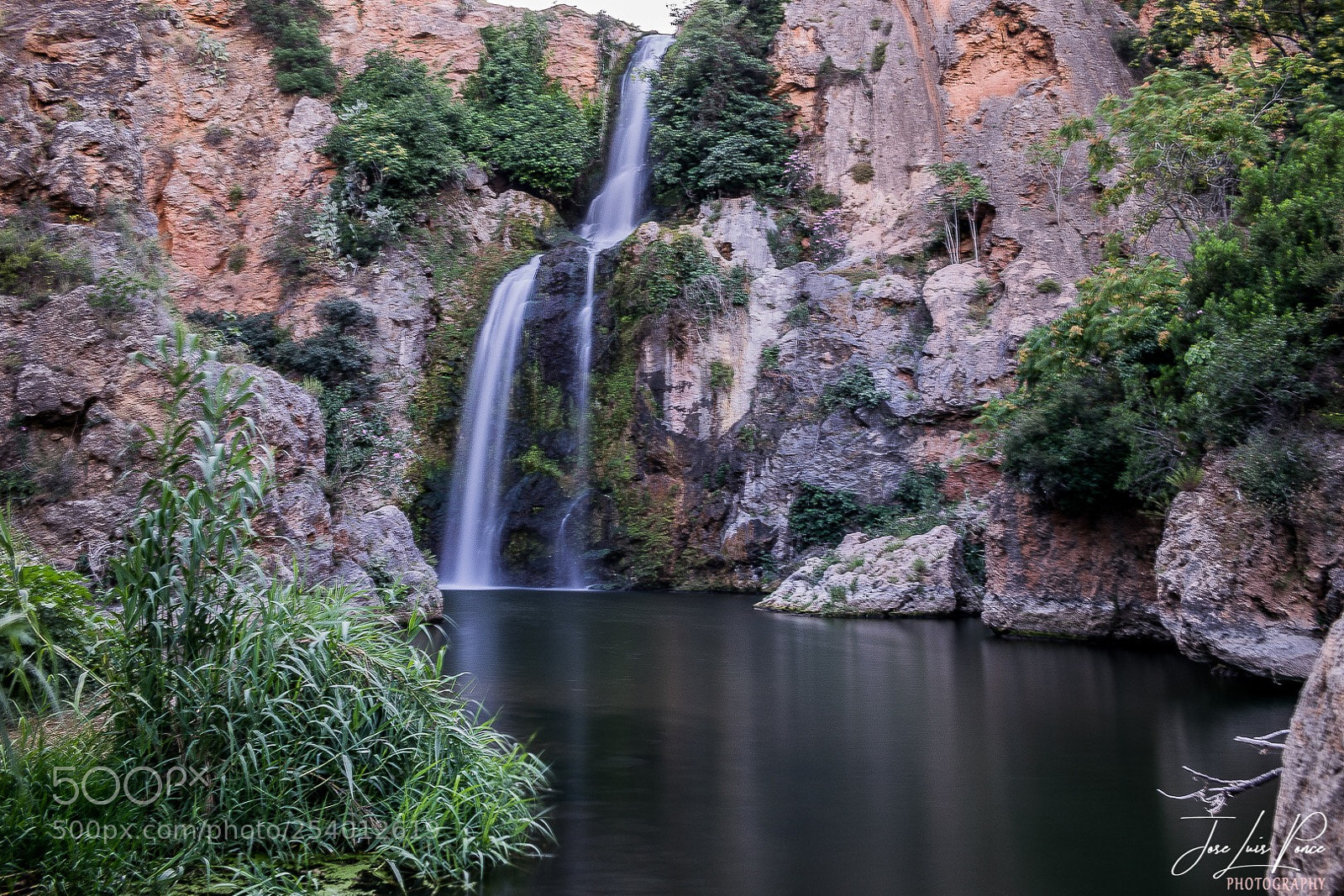 Nikon D3300 sample photo. Naturaleza  photography