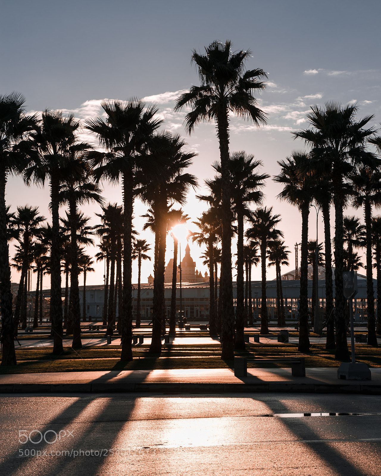 Sony a7 sample photo. Sochifornia photography