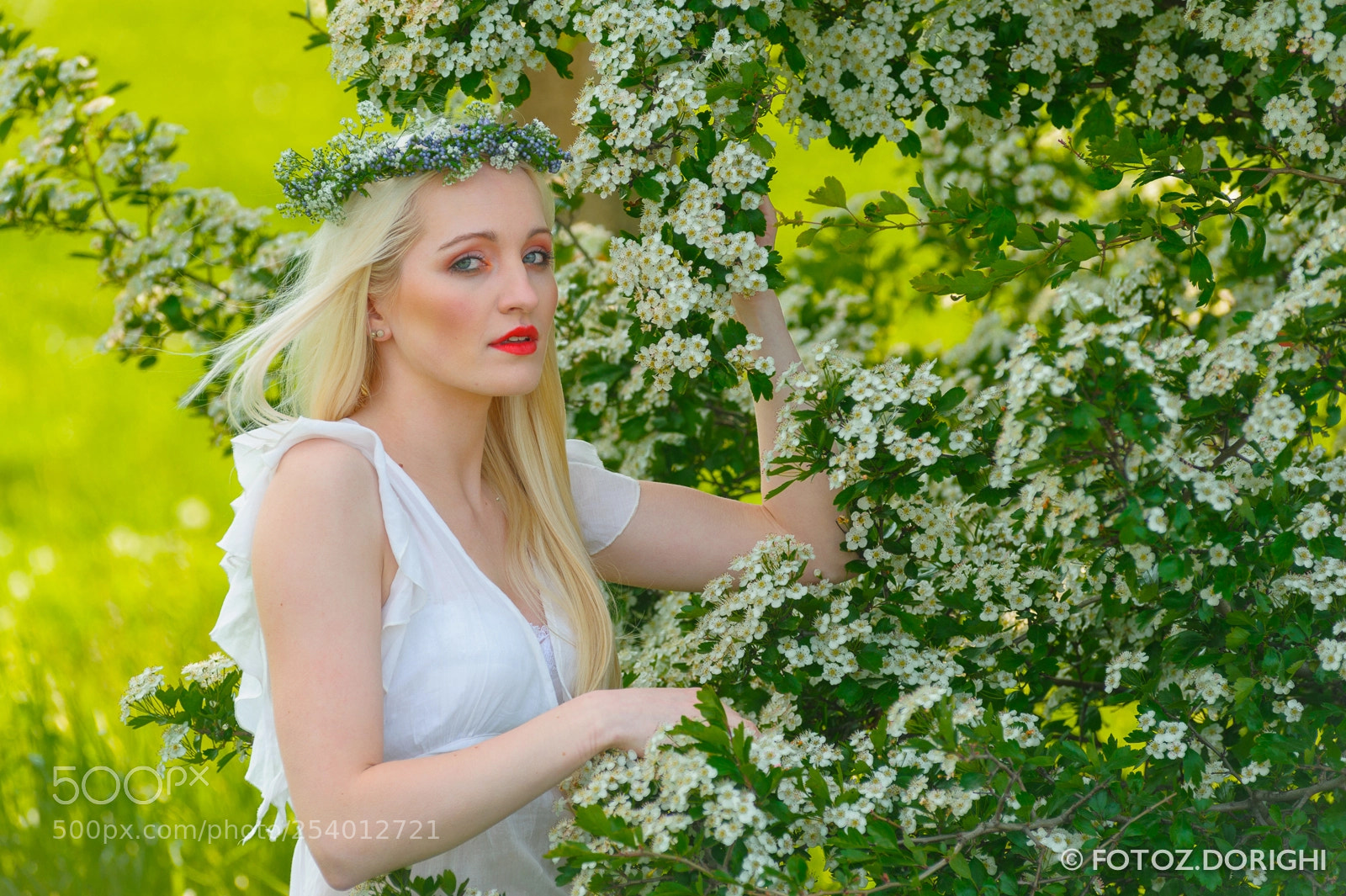 Nikon D700 sample photo. Natalie photography