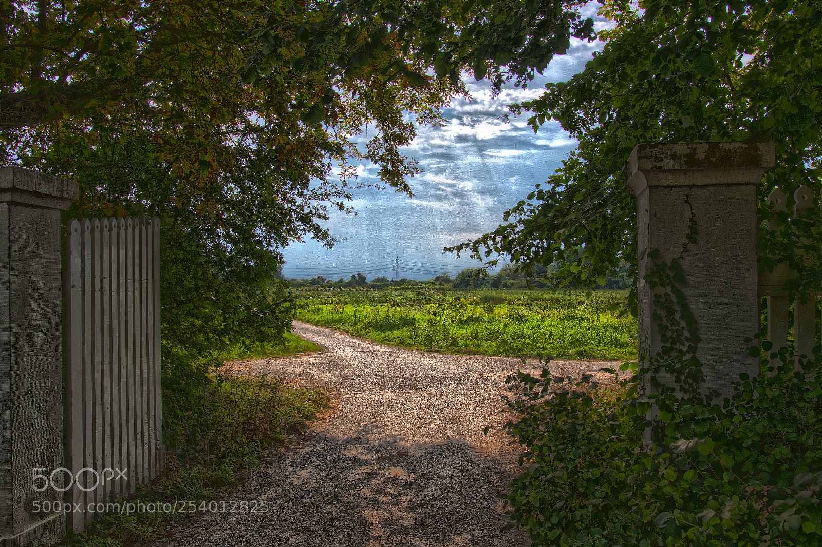 Canon EOS 7D Mark II sample photo. Schlosspark photography