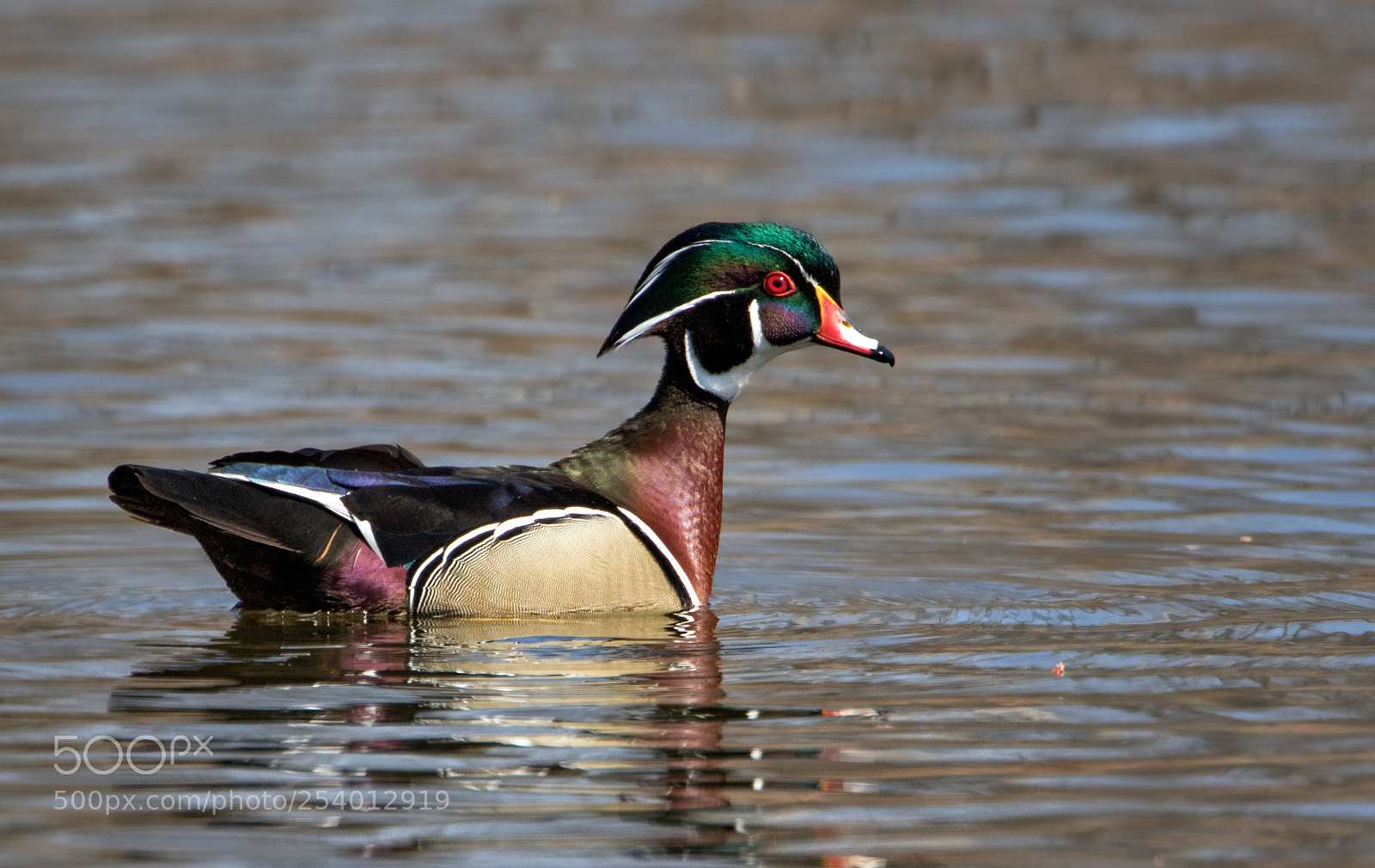 Canon EOS 7D Mark II sample photo. Natures beauty photography
