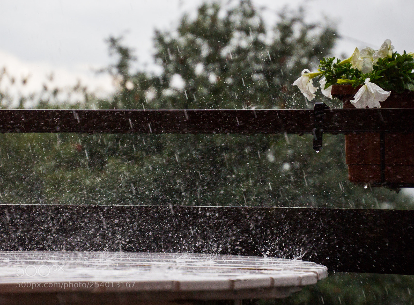 Canon EOS 700D (EOS Rebel T5i / EOS Kiss X7i) sample photo. A rainy day in photography