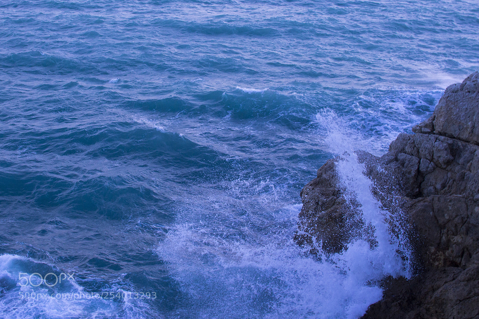 Canon EOS 600D (Rebel EOS T3i / EOS Kiss X5) sample photo. Conflict photography