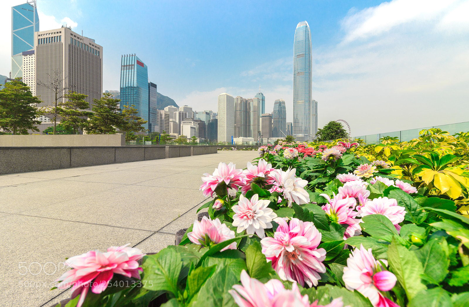 Canon EOS 600D (Rebel EOS T3i / EOS Kiss X5) sample photo. Hongkong skyline under the photography