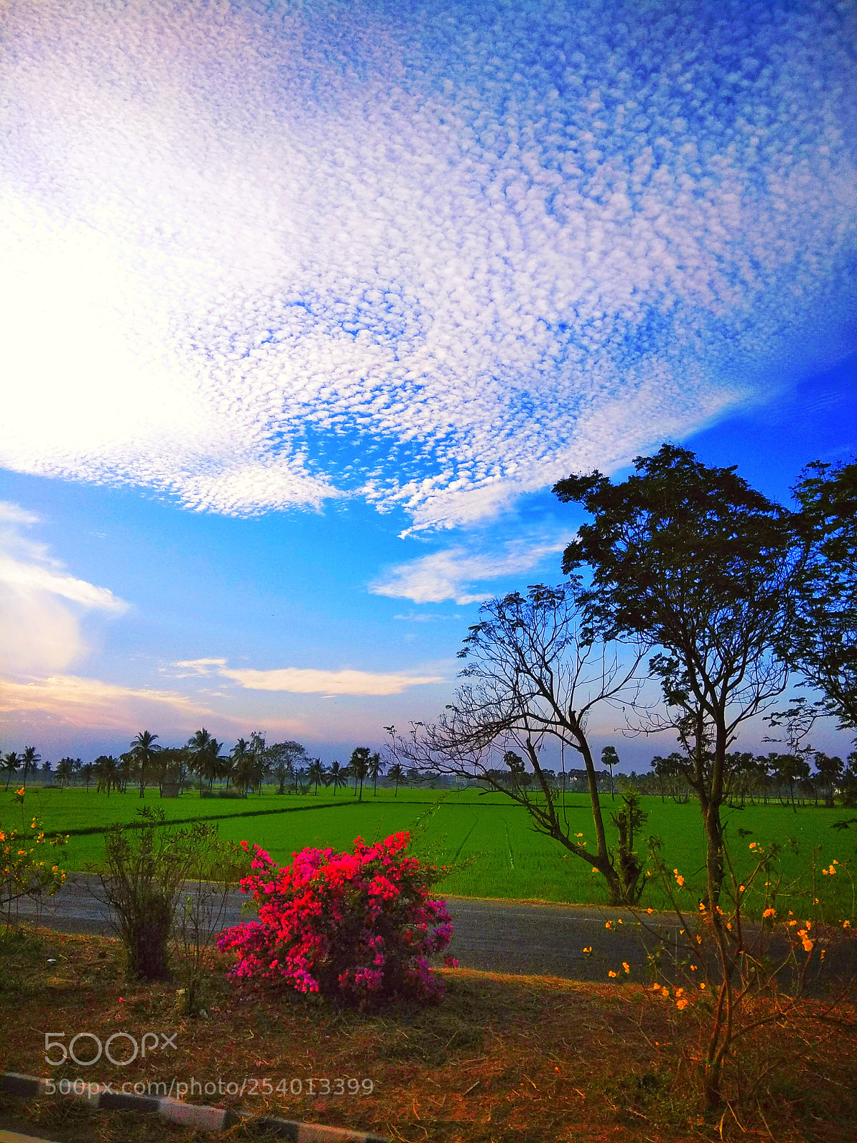 Xiaomi Redmi Note 4 sample photo. Untitled photography