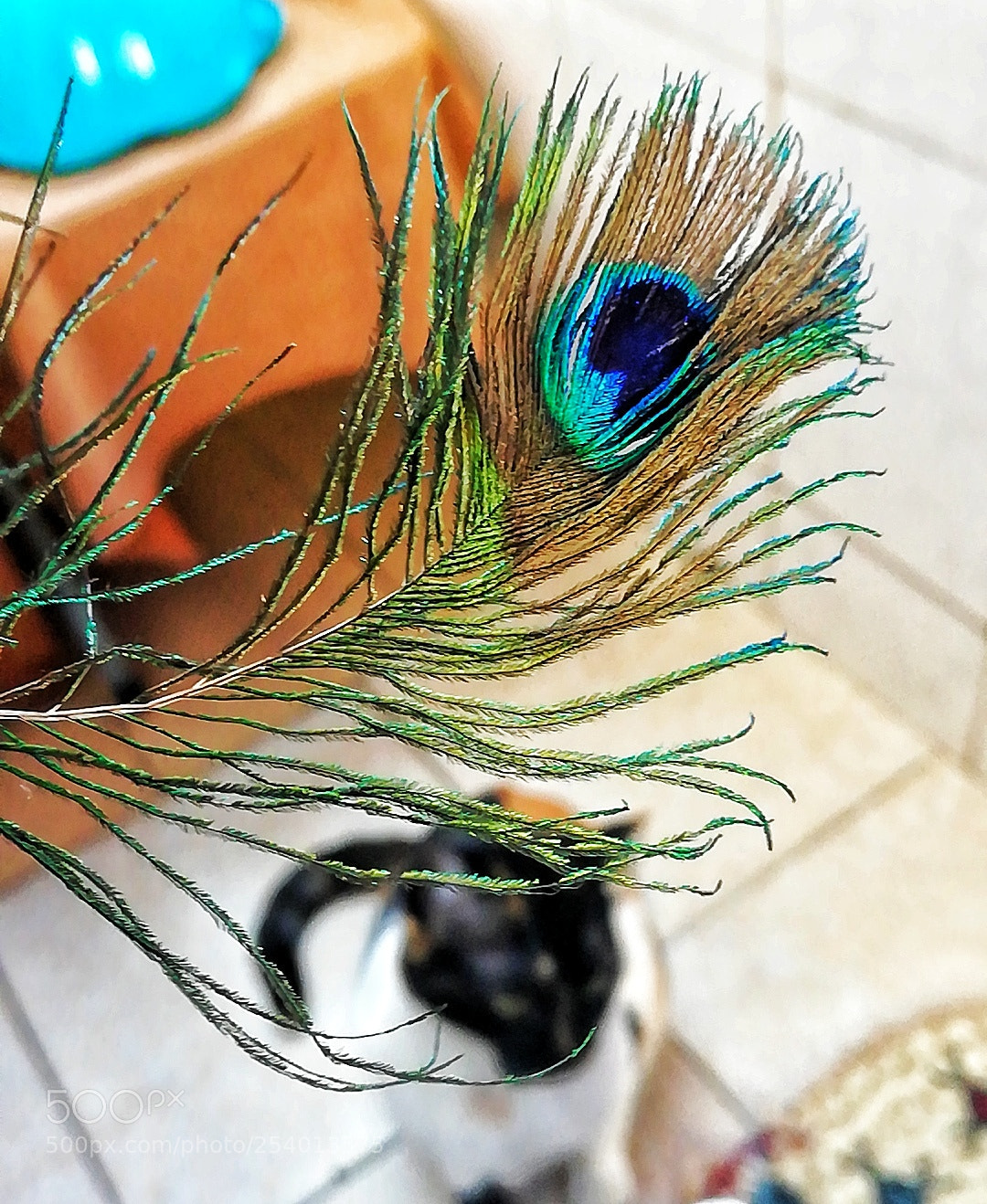 HUAWEI Mate 10 Lite sample photo. Untitled photography