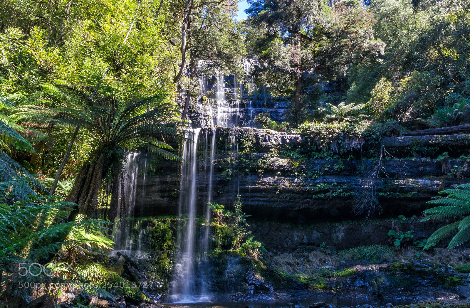 Pentax K-3 II sample photo. Russell falls photography