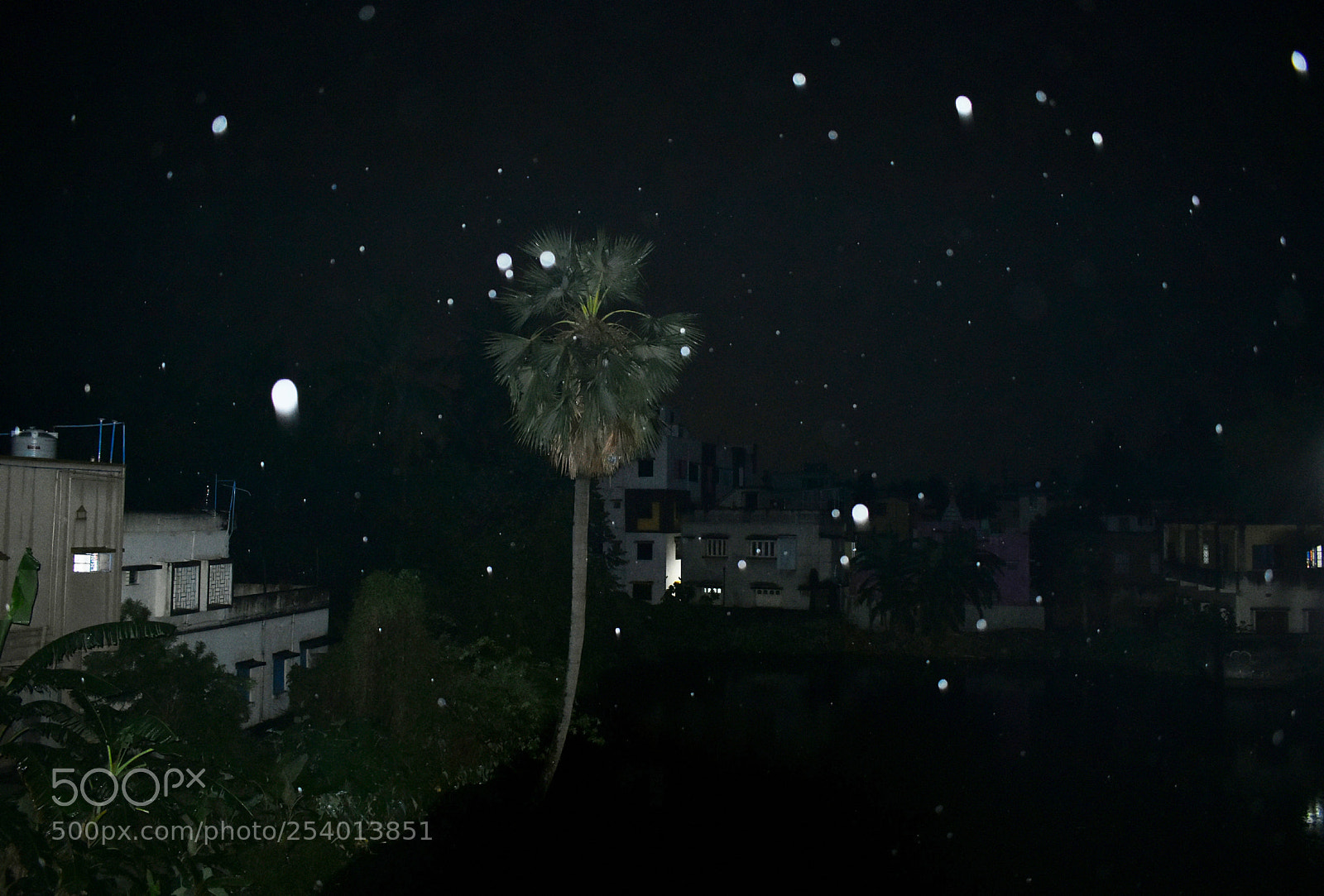 Nikon D3400 sample photo. Snowfall no, dusts in photography