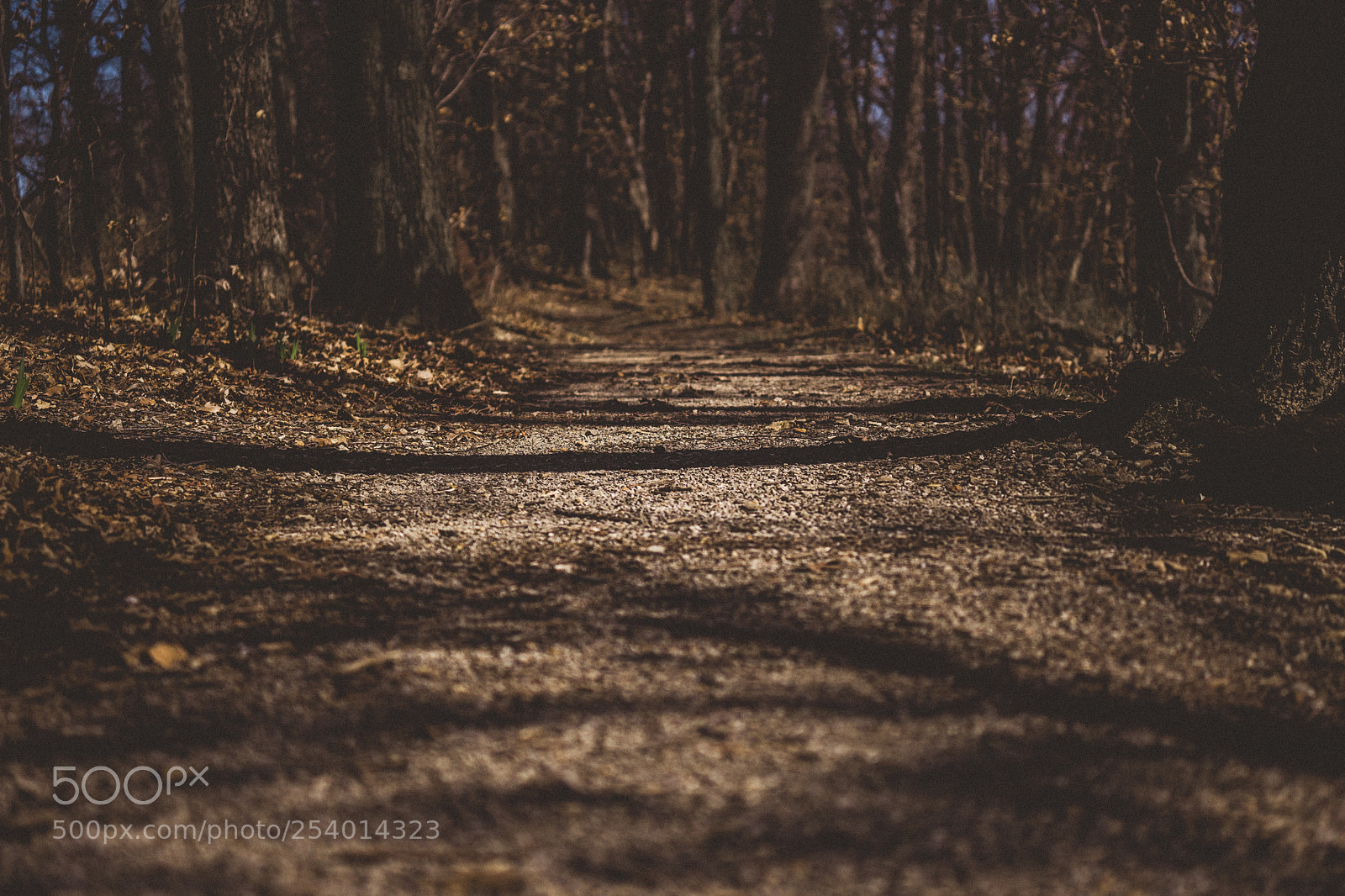 Sony a7 sample photo. Sleepy hollow.... photography