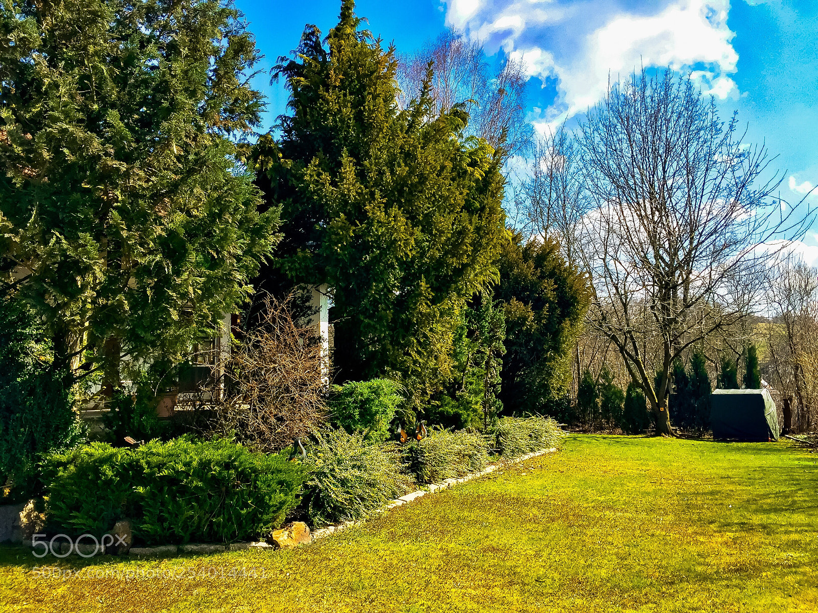 Apple iPhone 6 sample photo. Spring day at home photography