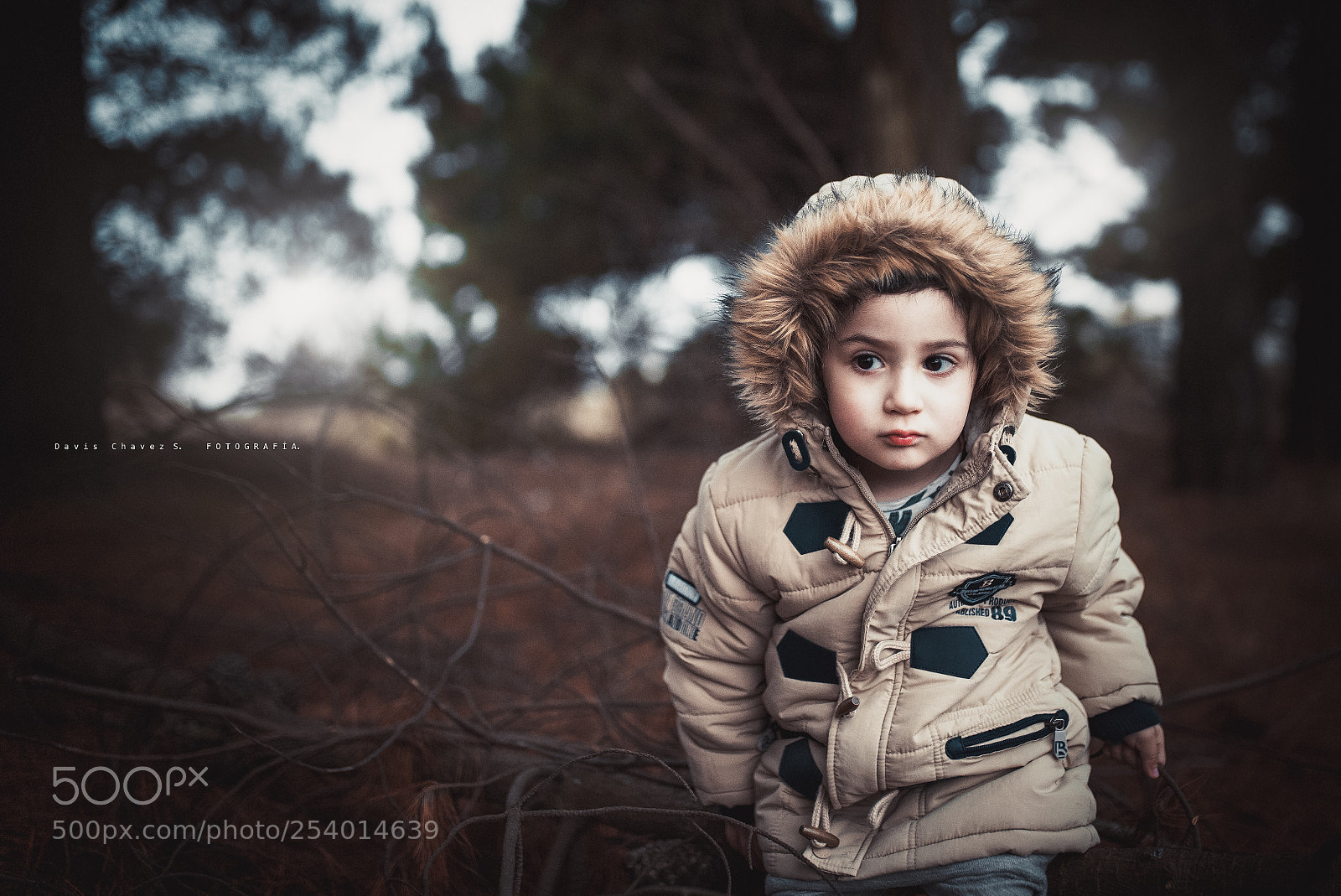 Nikon D610 sample photo. Renato photography