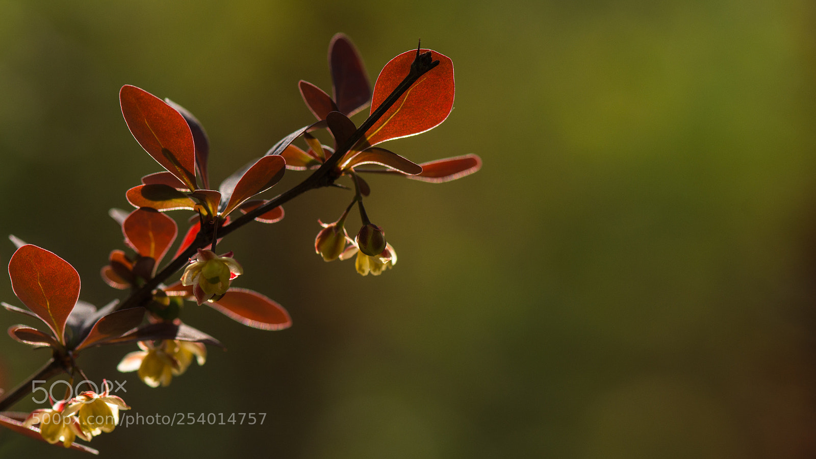 Nikon D800E sample photo. Progression of seasons photography