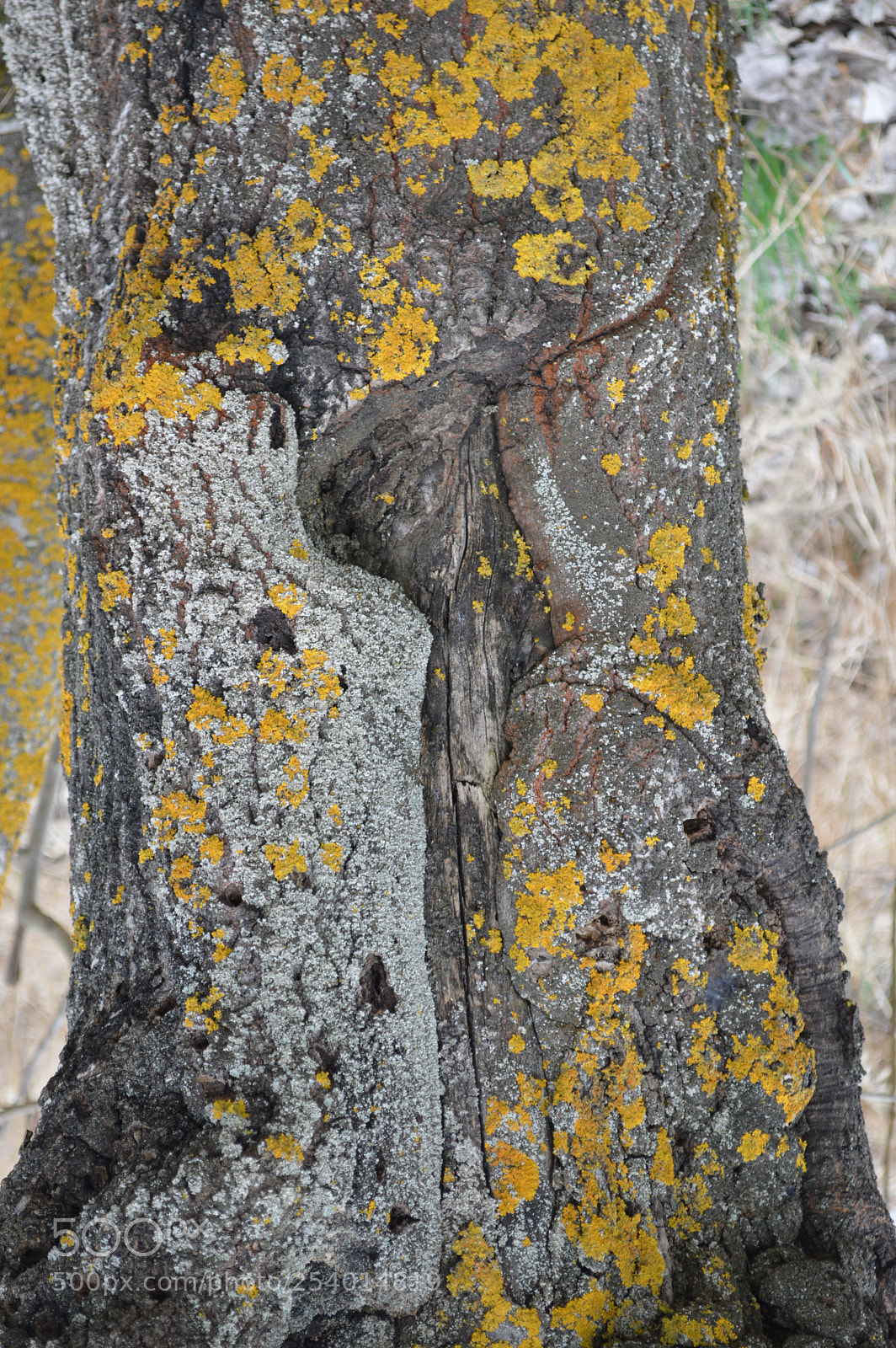 Nikon D3200 sample photo. Dsc photography