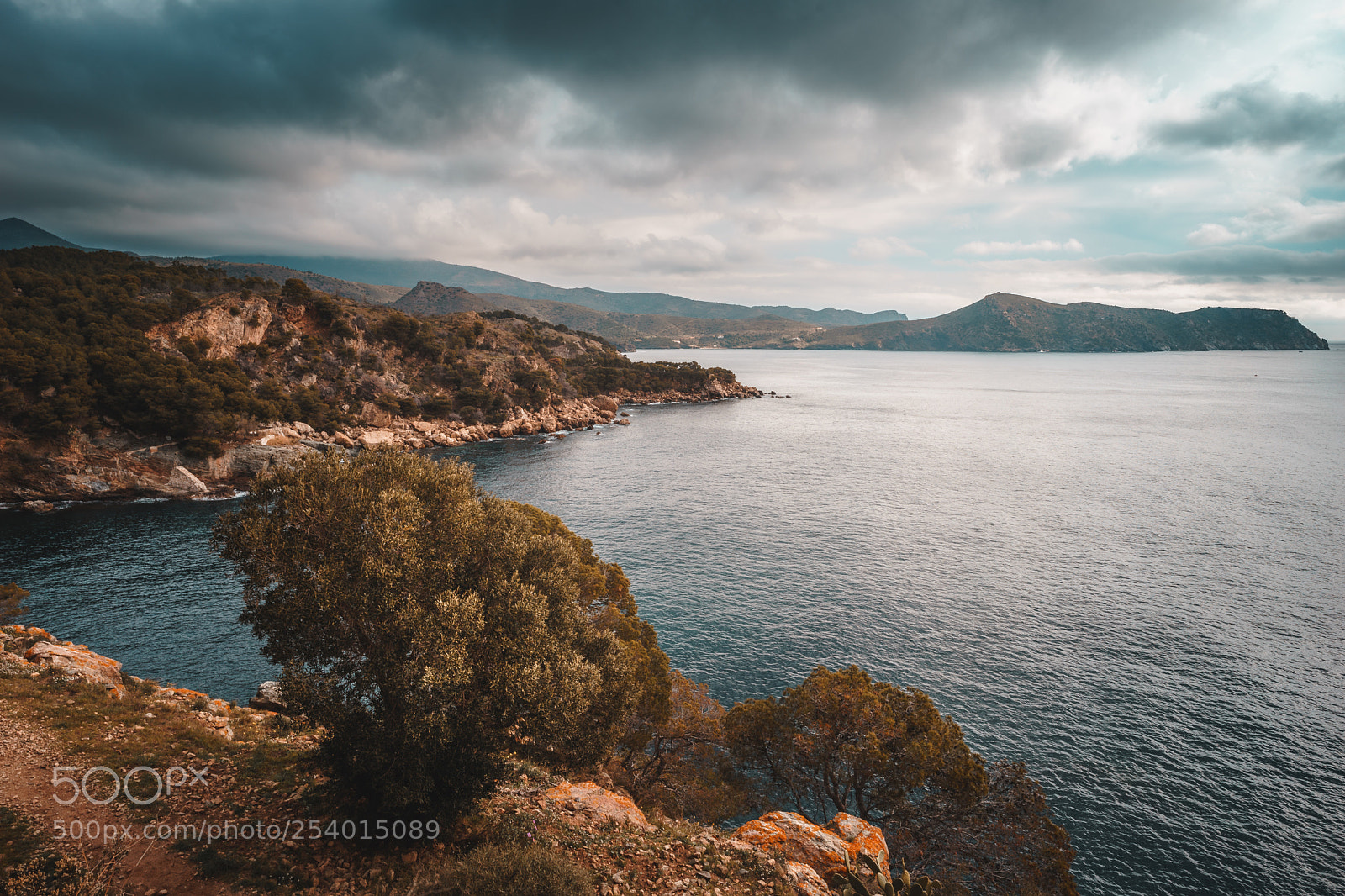 Sony a7 sample photo. Wild coast 044 photography