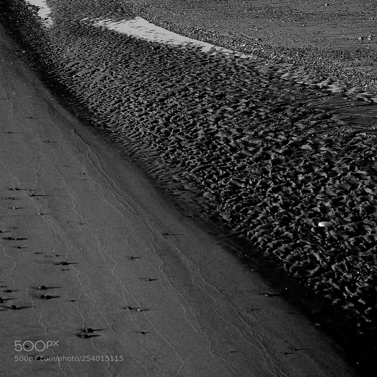 Nikon D5100 sample photo. Beach 2018 photography